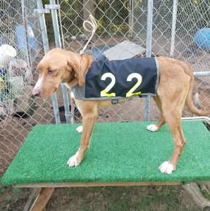 Meet your Posher, Kenny